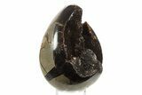 Septarian Dragon Egg Geode - Sparkly Black Crystals #336453-1